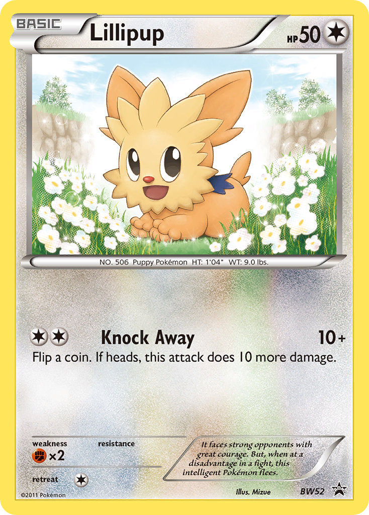 Lillipup 52/101
