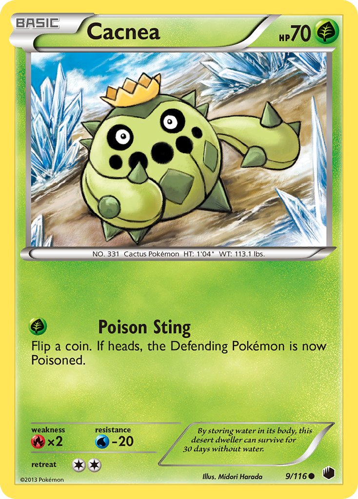 Cacnea 9/116
