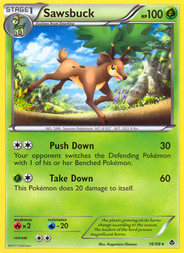 Sawsbuck 16/98