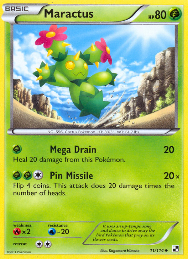 Maractus 11/114