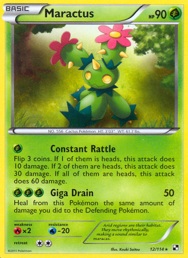 Maractus 12/114