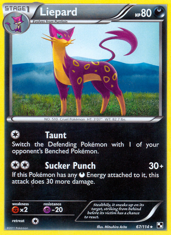 Liepard 67/114