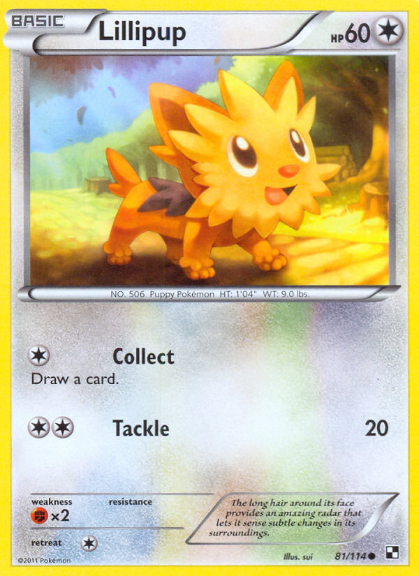 Lillipup 81/114