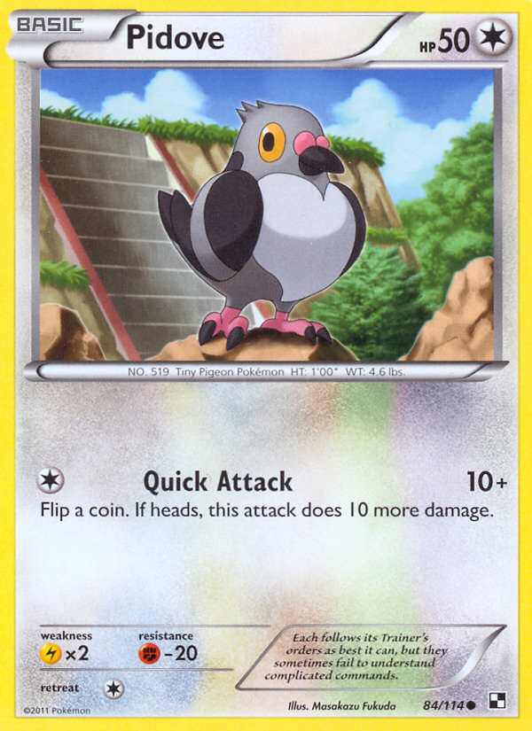 Pidove 84/114