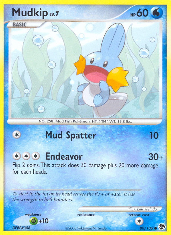 Mudkip 80/106