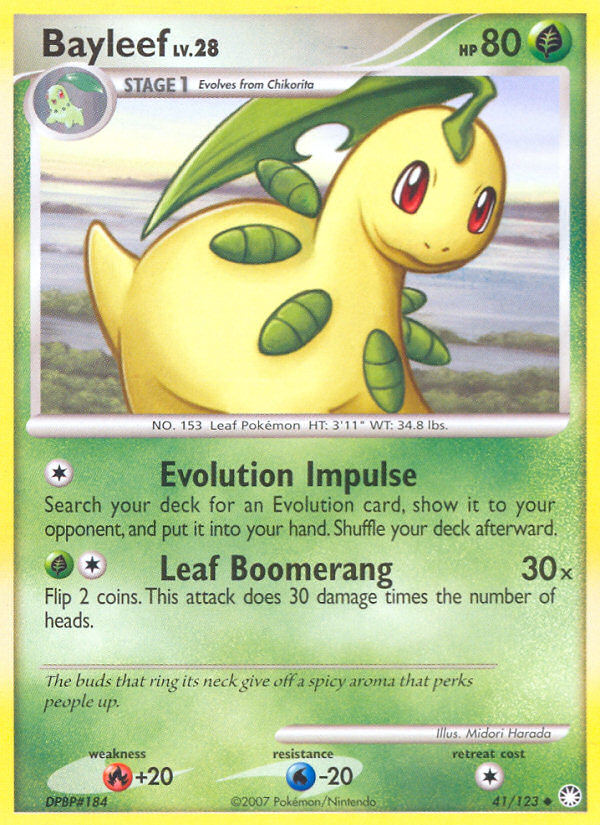 Bayleef 41/123