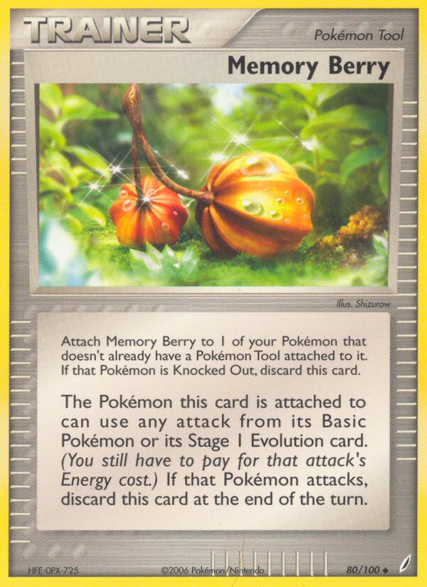 Memory Berry 80/100