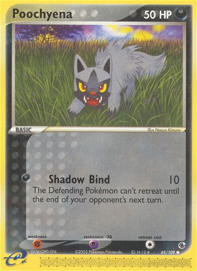 Poochyena 65/109