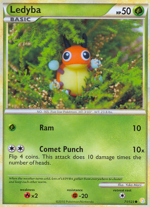 Ledyba 71/123