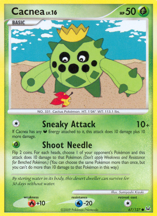 Cacnea 67/127