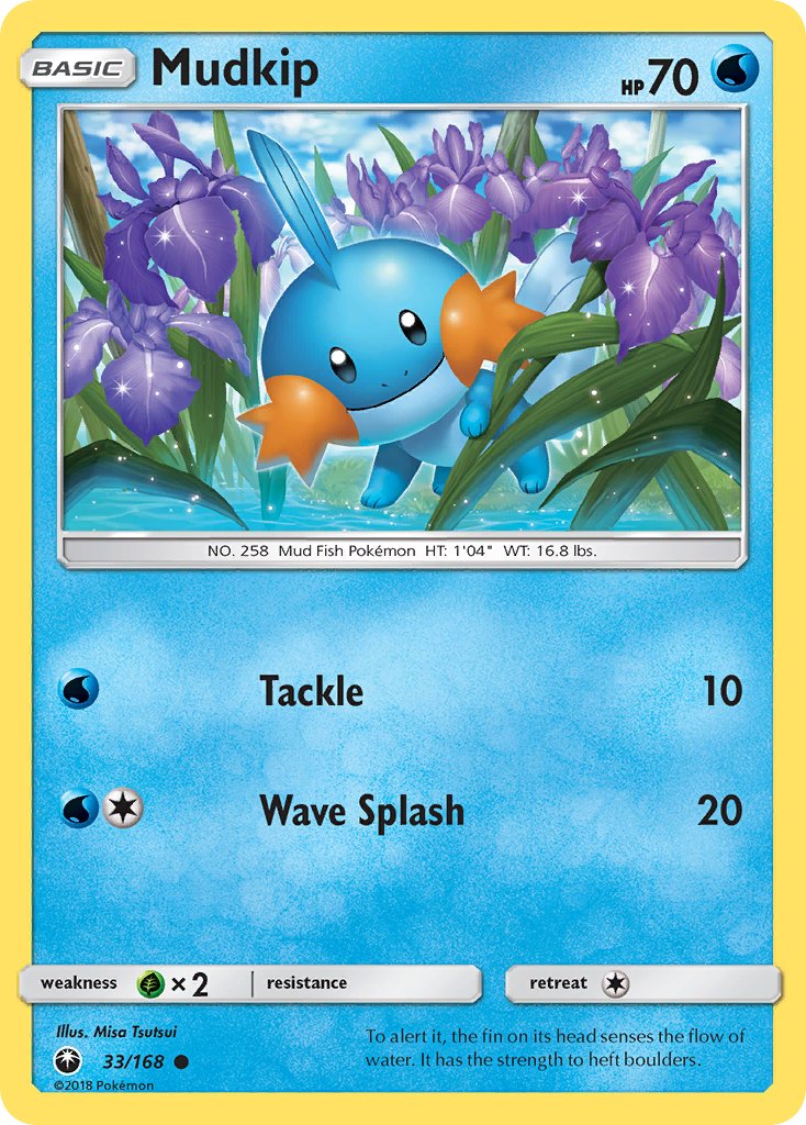 Mudkip 33/168