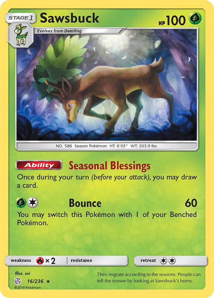 Sawsbuck 16/236