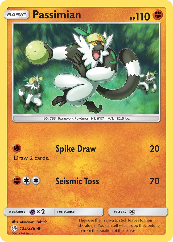 Passimian 125/236