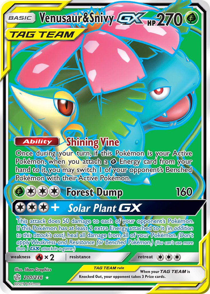 Venusaur & SnivyTag Team GX 210/236