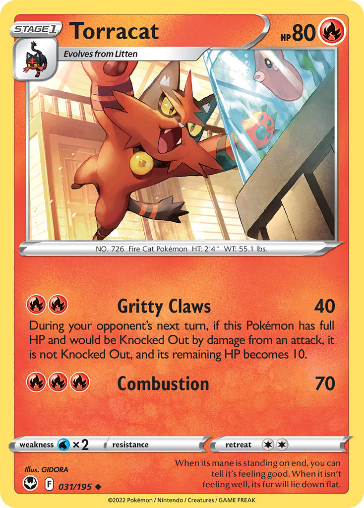 Torracat 31/195