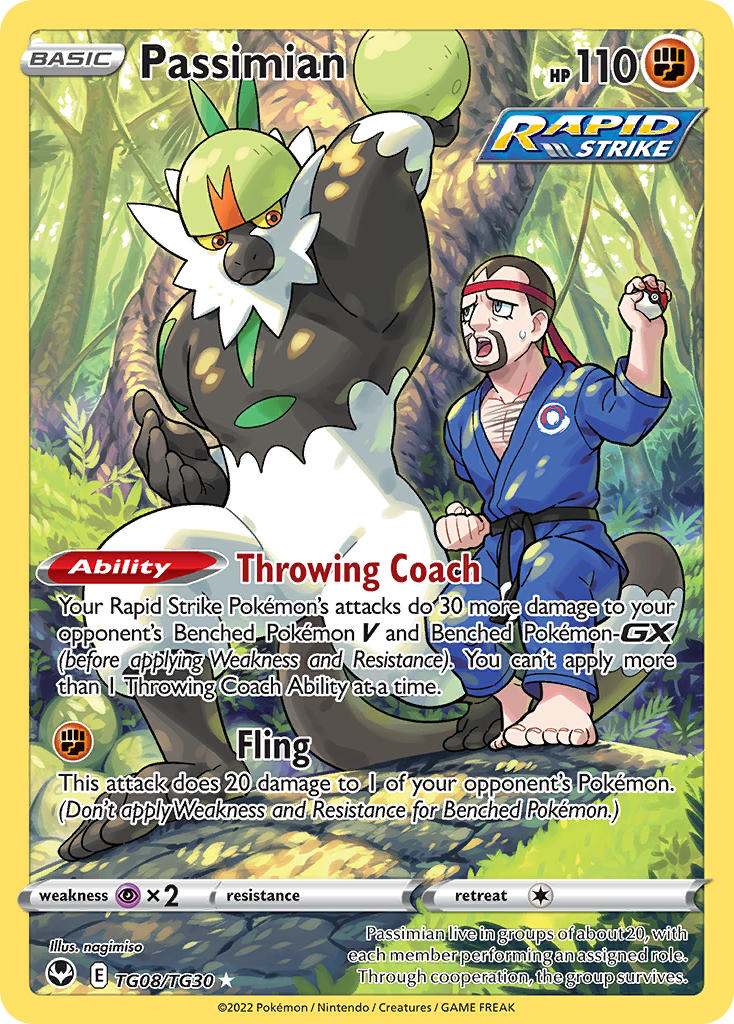 Passimian TG8/30