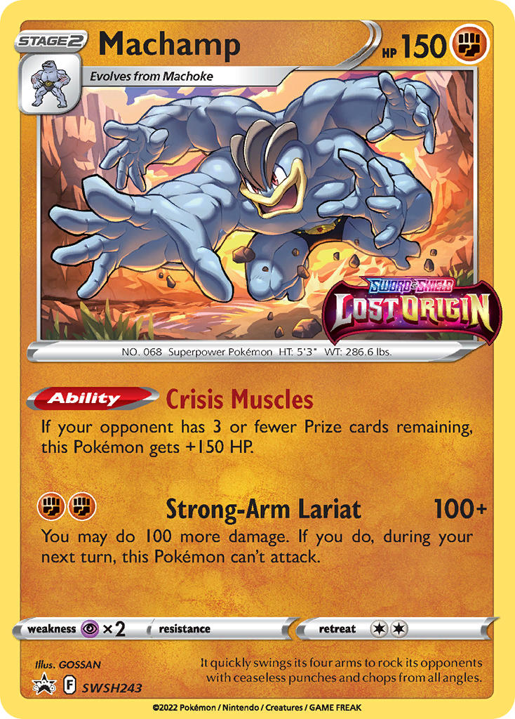 Machamp 243/307