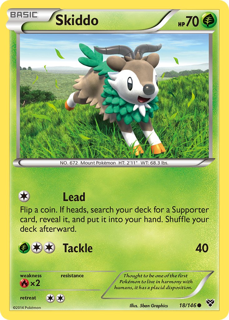 Skiddo 18/146