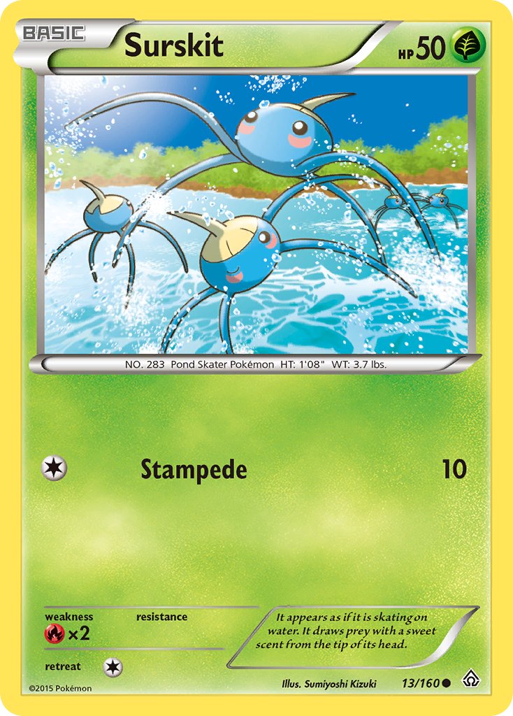 Surskit 13/160
