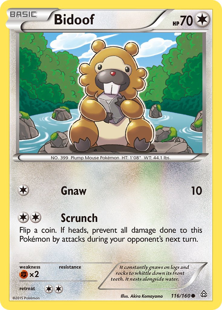 Bidoof 116/160