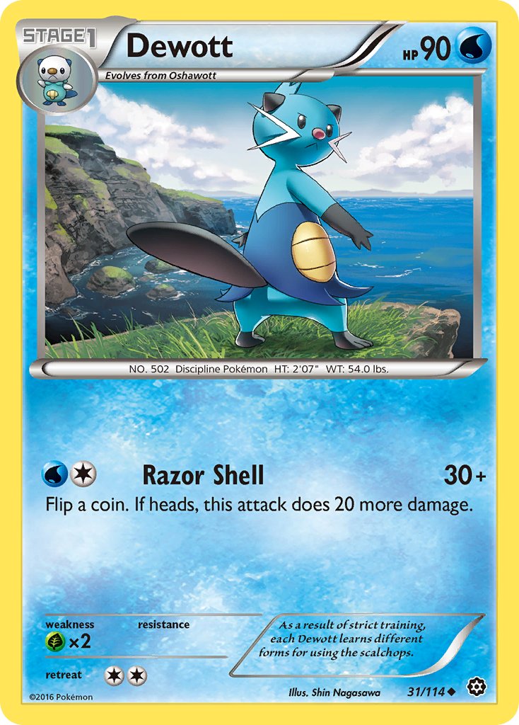 Dewott 31/116