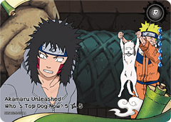 Akamaru Unleashed: Who's Top Dog Now (5/5) R 050L1