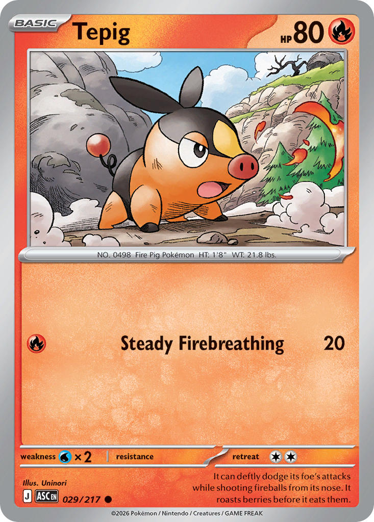 Tepig 029/217