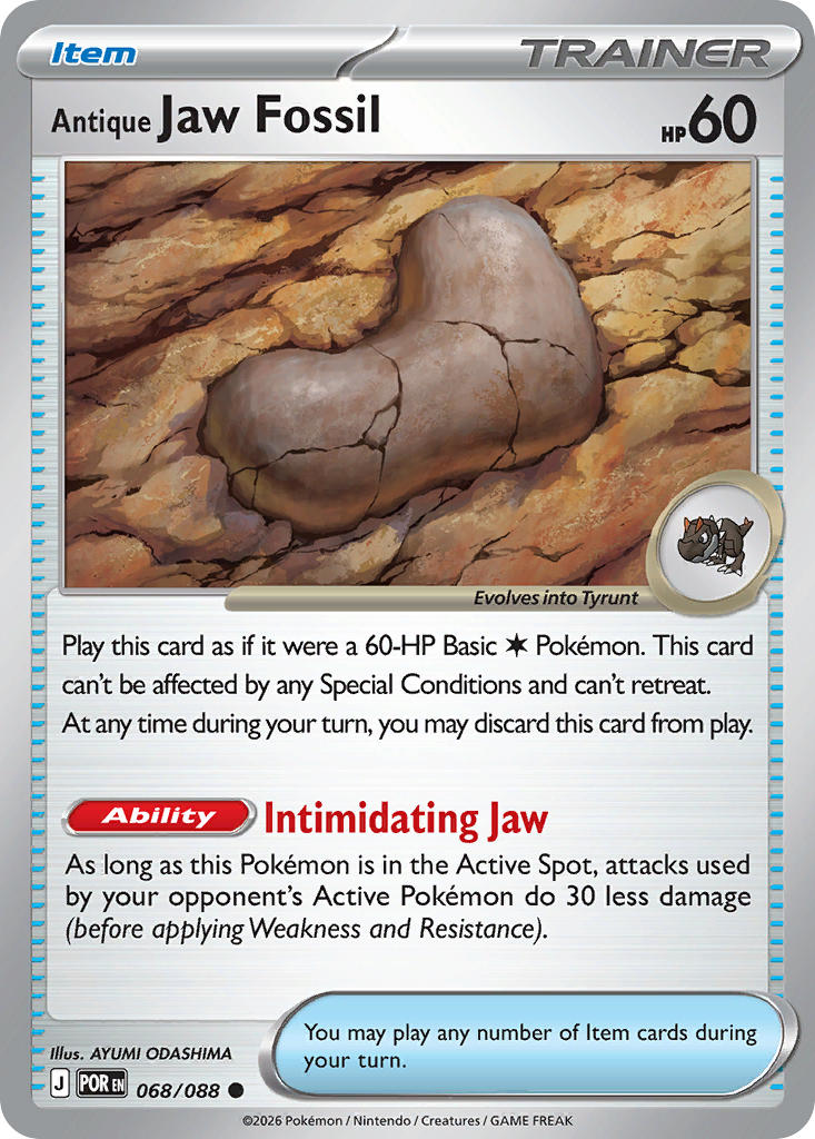 Antique Jaw Fossil 068/088