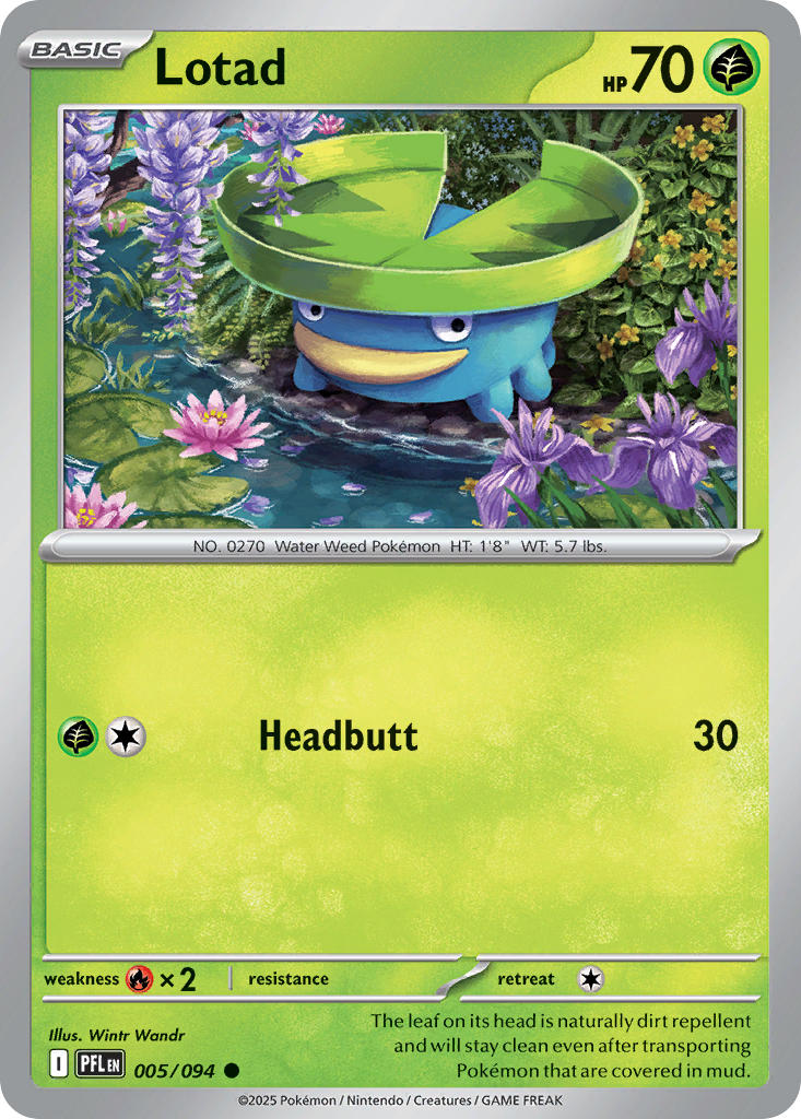 Lotad 5/94