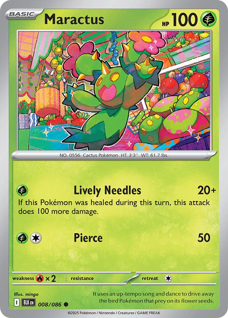 Maractus 8/086