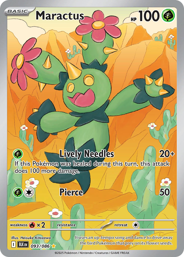 Maractus 93/086